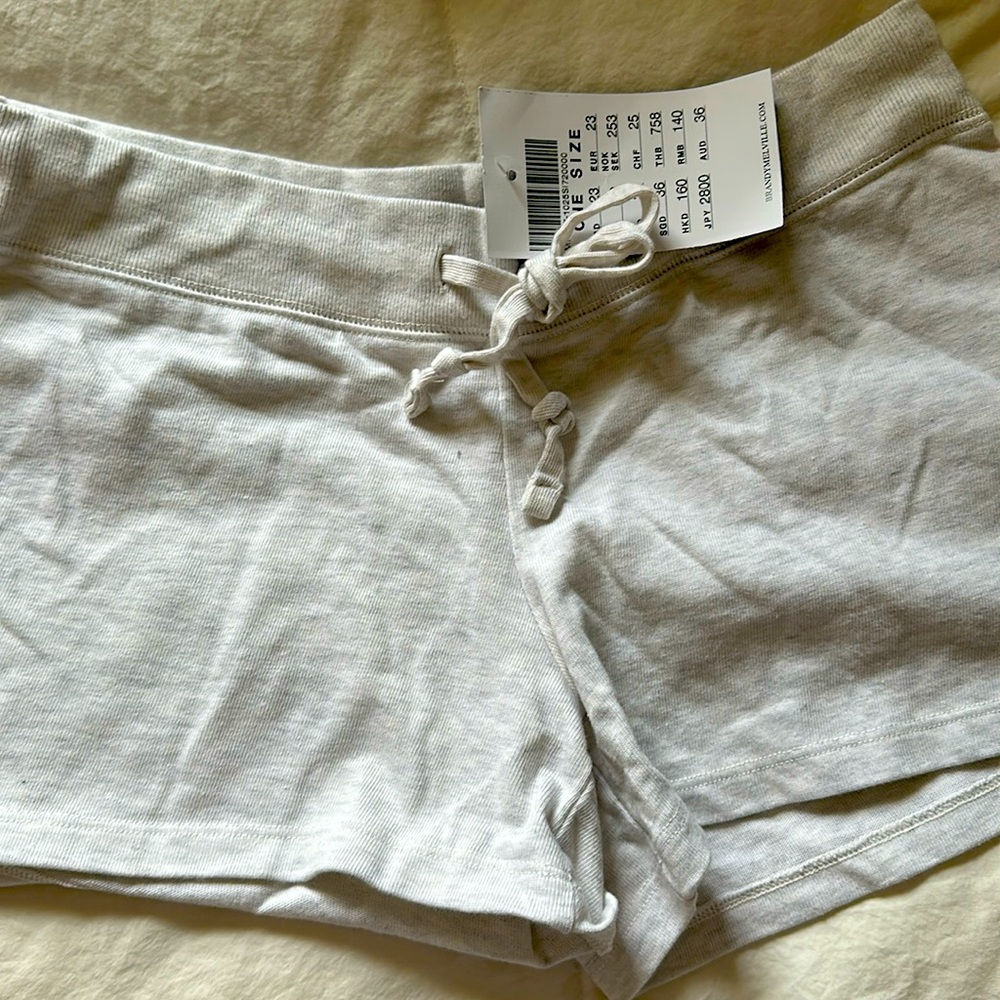 Brandy Melville grey shorts. NWT. One size fits all.